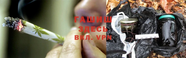 прущие крисы Магадан